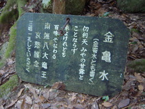 100103_hando.jpg