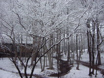 100418_hachimantai.jpg